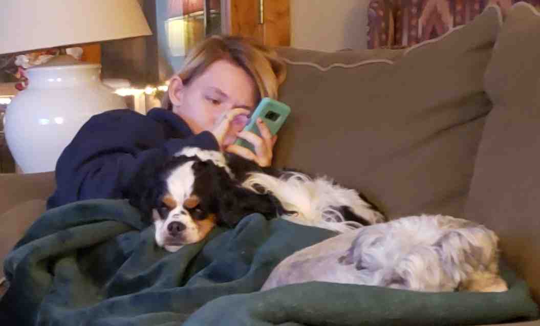 2020-01-23 Two Dog night.jpg